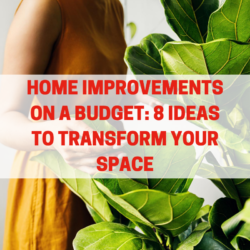 transform your space